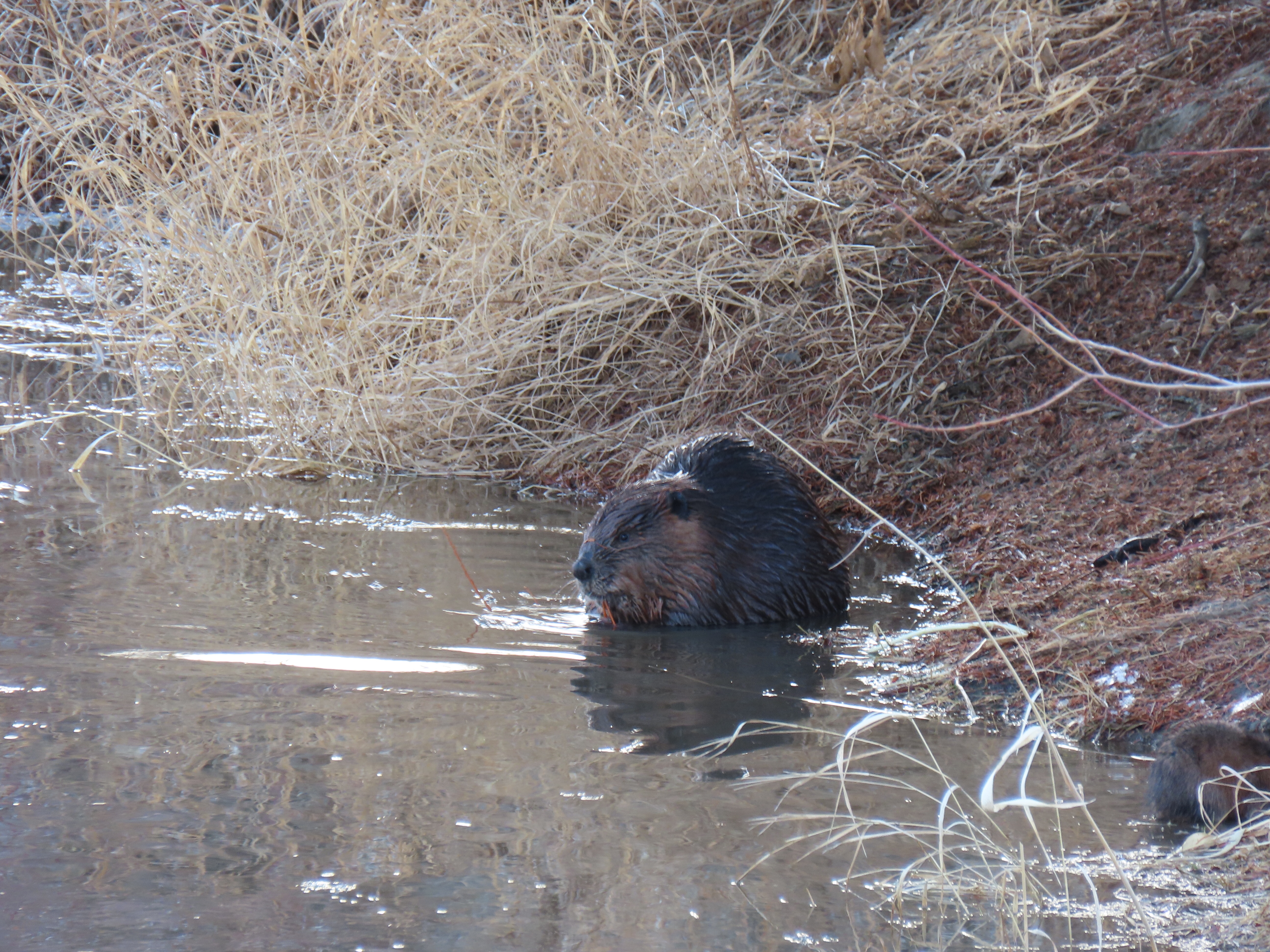 4116608311361001396_img_0174