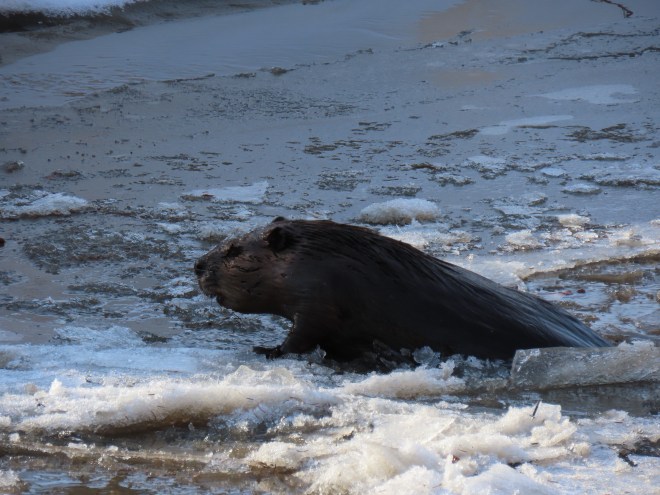 -5095761036444980254_img_0088