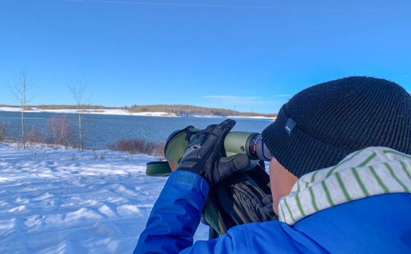 When Nature Walks&nbsp;Fail