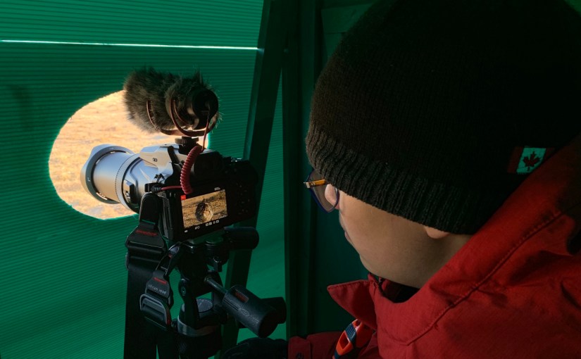 Project 366 – Post No. 038 – Big Weekend of&nbsp;Birding