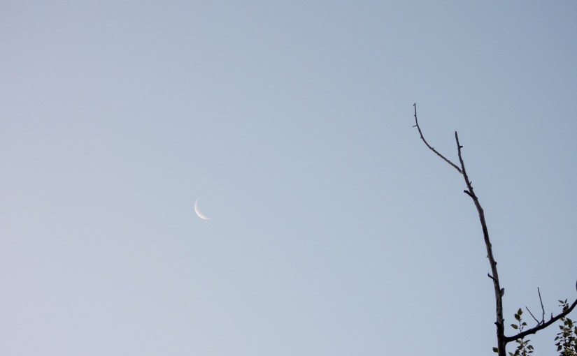 Project 366 – Post No. 152 – Waning crescent moon at&nbsp;dawn
