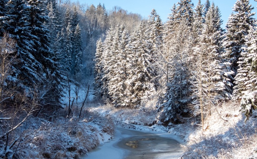 Project 366 – Post No. 228 – Frozen winter&nbsp;wonderland