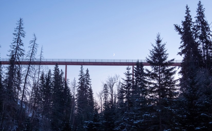 Project 366 – Post No. 246 – Winter&nbsp;darkness