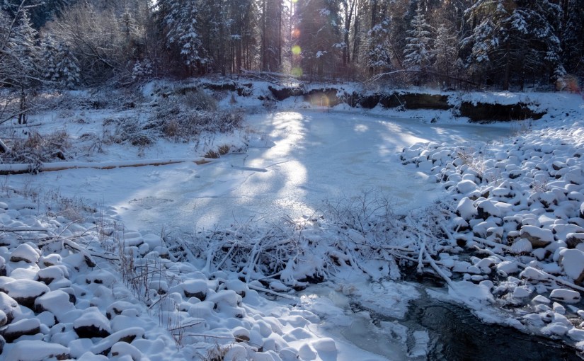 Project 366 – Post No. 227 – Frozen beaver&nbsp;dam