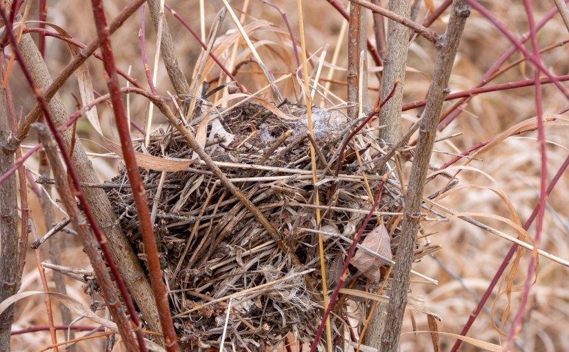 Project 366 – Post No. 222 – Abandoned&nbsp;digs
