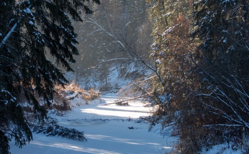 Project 366 – Post No. 238 – Snow covered&nbsp;creek