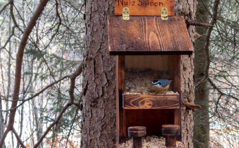 Project 366 – Post No. 240 – Hanging out at the Nutz&nbsp;Saloon