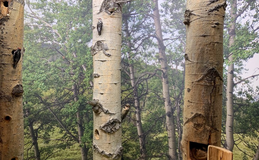 Project 366 – Post No. 328 – RAM diorama dreams, Part&nbsp;3